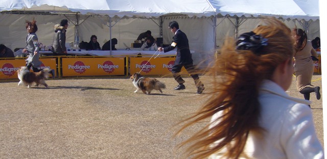 P1030423 - コピー.JPG