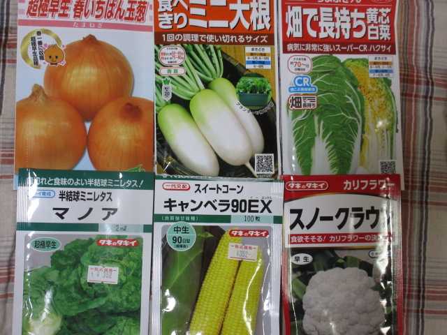 夏 秋まき野菜 ロードヒポキシス 楽天ブログ