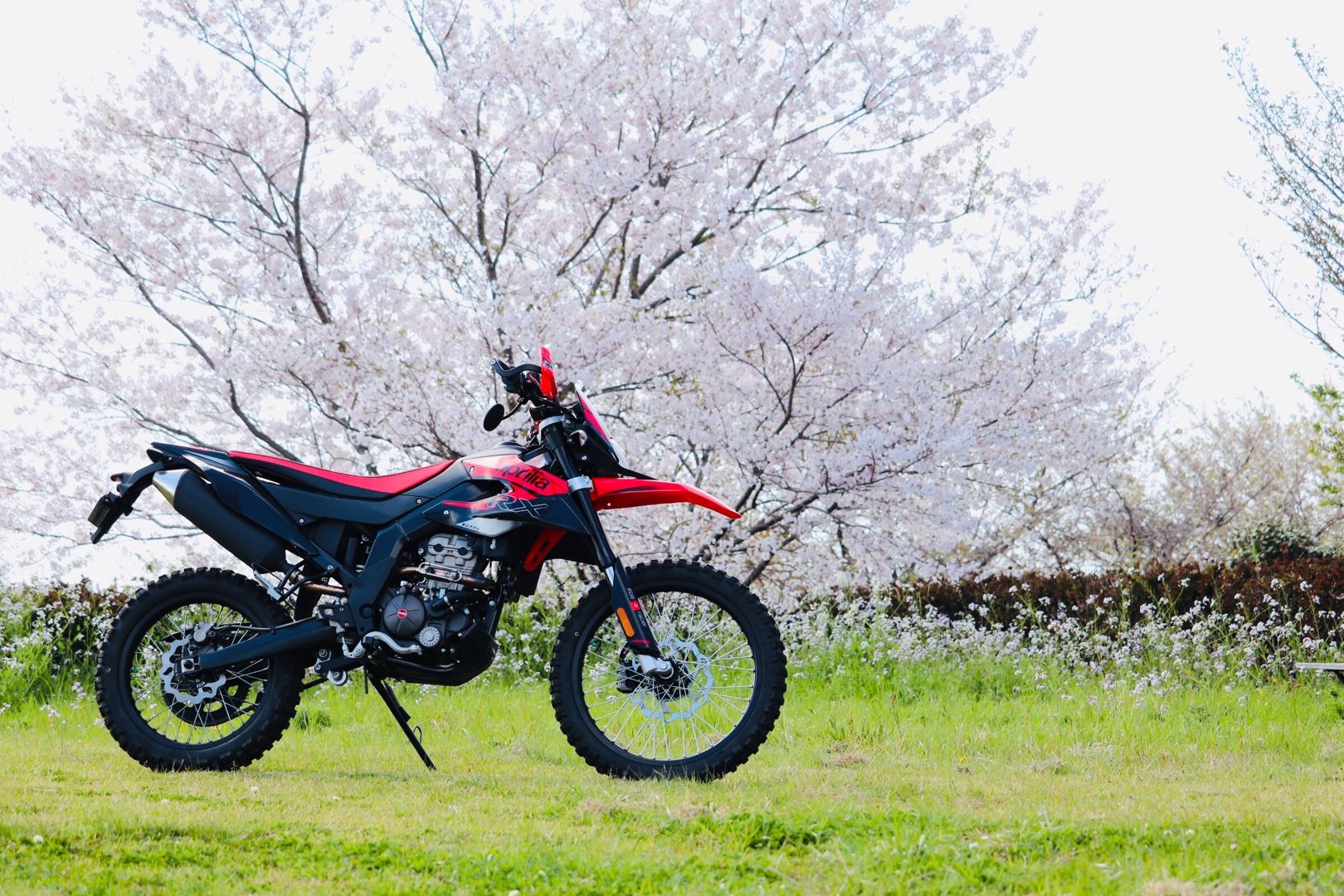 Rx125 4000km インプレ リターンライダーのブログ 楽天ブログ