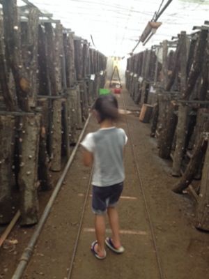 rblog-20140821173551-02.jpg