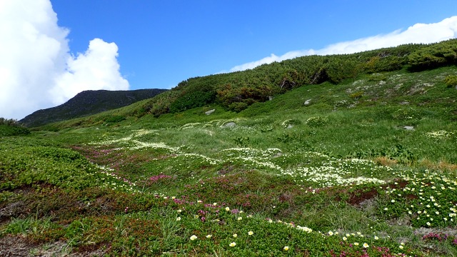 16年8月の山 高原温泉から黒岳に縦走 山歩きは好歩 スキップ して四季折々 登山日和のｆｏｏｔｍａｒｋ 楽天ブログ