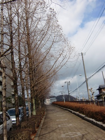 hadakagi6.jpg