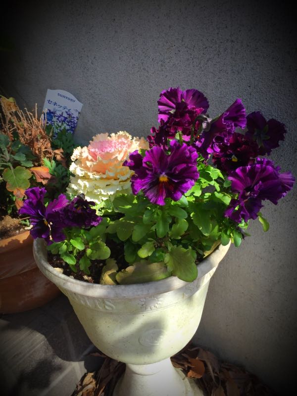 rblog-20160225161857-01.jpg