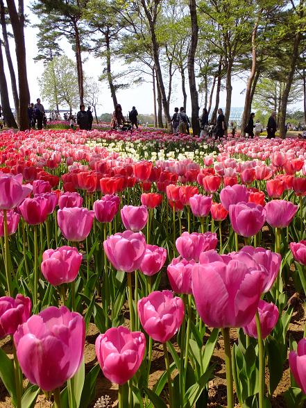 画像 074.jpg