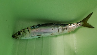 20161016_141207.jpg