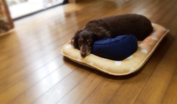 rblog-20171001222228-09.jpg
