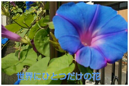 rblog-20161010142656-00.jpg