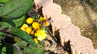 rblog-20130526163612-03.png