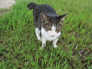 IMG_9326ss.jpg