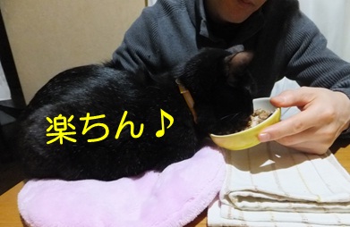 20121107_3.jpg