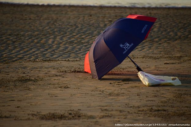 父母が浜への道 その7 父母ヶ浜にて | 今日の予定 - 楽天ブログ