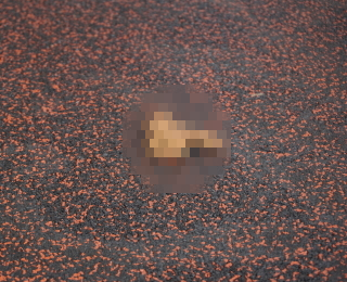 GoGfKkrifT_Pgwa1455959565_1455959600.png