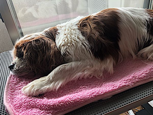 rblog-20180404131714-01.jpg