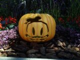 ２０１２年 Disney Sea ハロウィン７.jpg