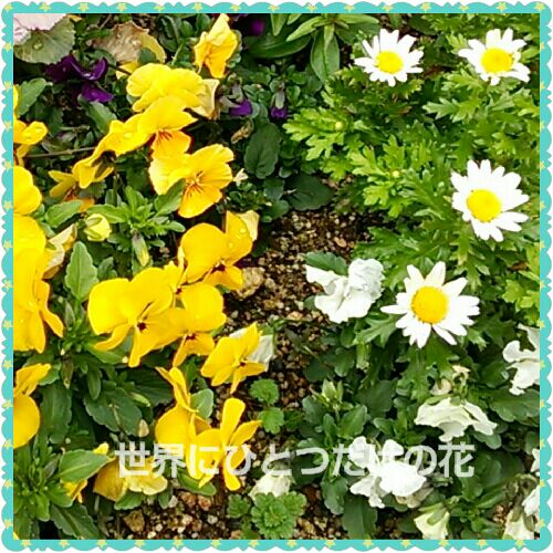 rblog-20160326100104-00.jpg