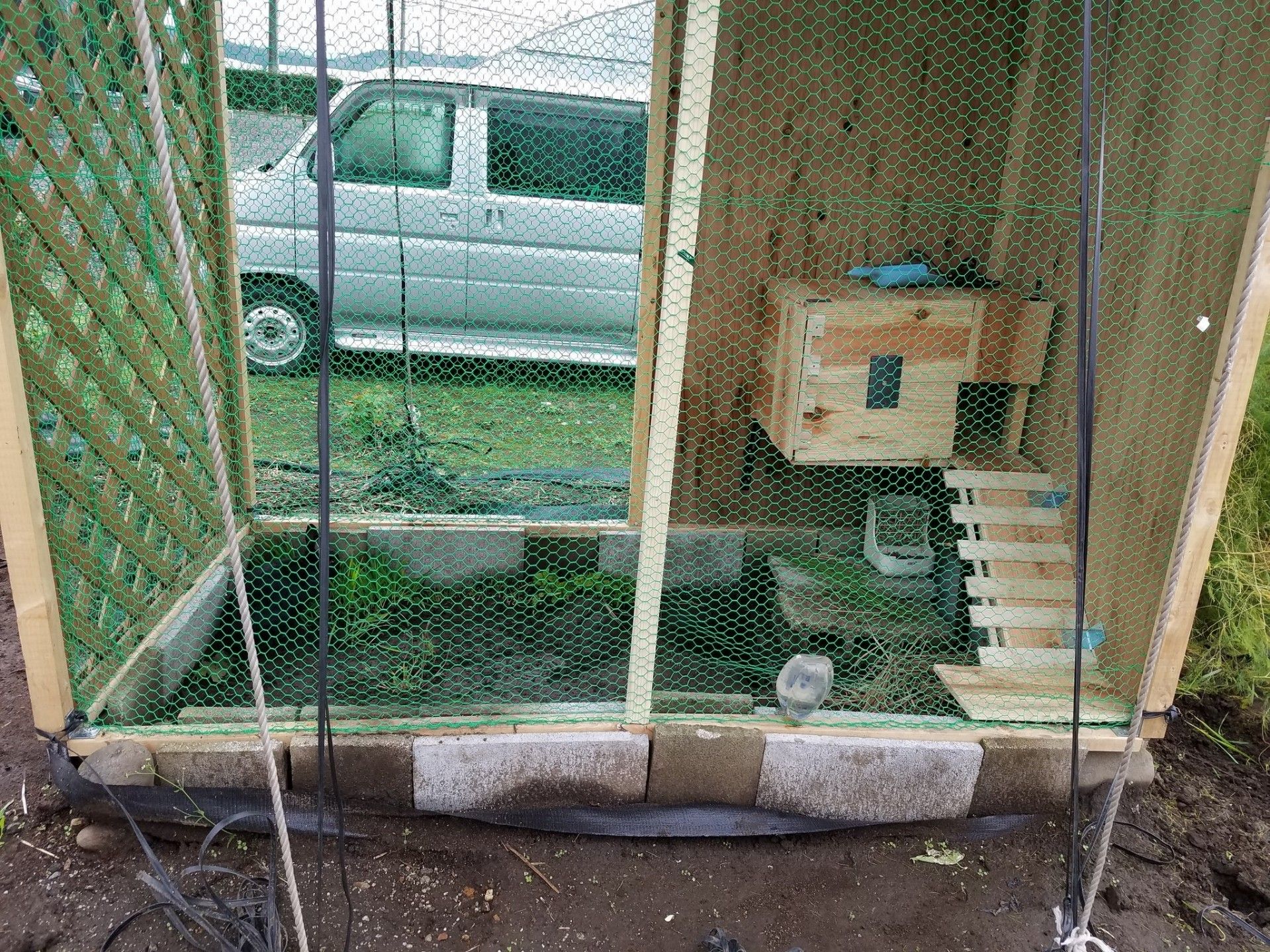 初のブログ うさぎの屋外飼育 ペット達と時々日記 楽天ブログ