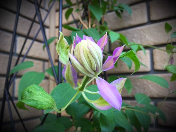 rblog-20150428161700-03.jpg