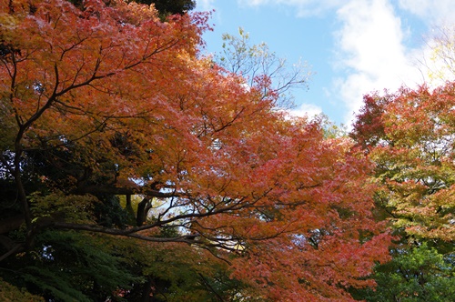 小石川後楽園