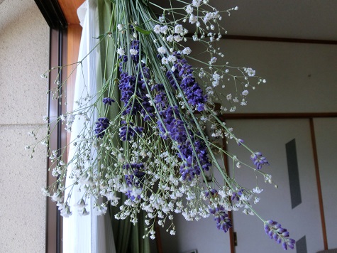 ラベンダードライフラワー