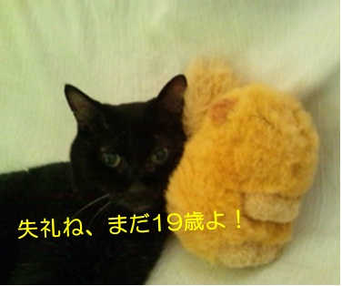 20120728_4.jpg