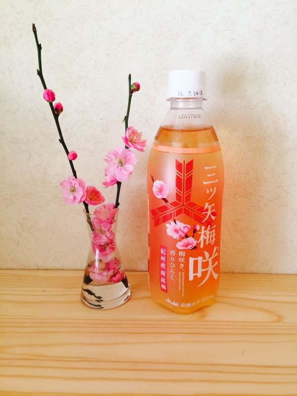 rblog-20160218213215-02.jpg