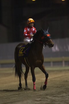 入場
