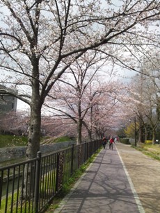 yamazaki_02