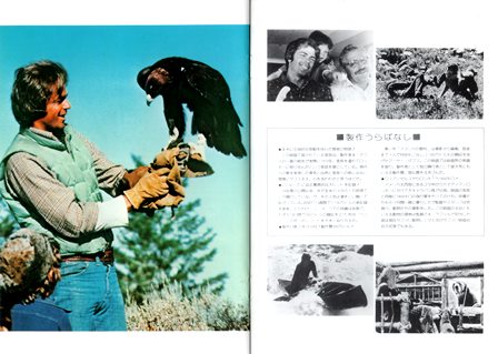 1039 アドベンチャー・ファミリー ［トリロジーDVD-BOX