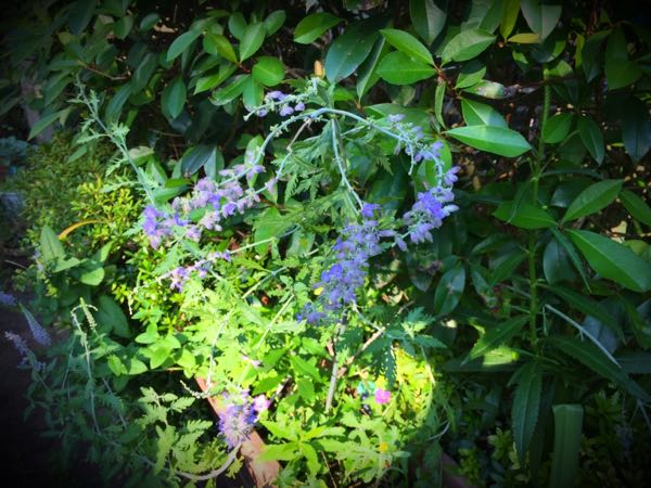 rblog-20160825165128-05.jpg