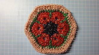 アフリカンヘキサゴン0226