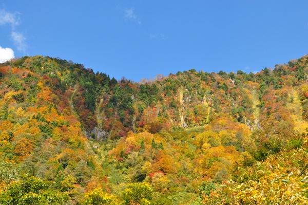 称名滝の紅葉