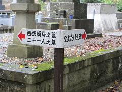 IMG_2314.jpg