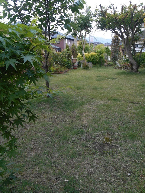 DSCN0414.JPG