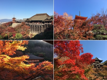161126清水寺