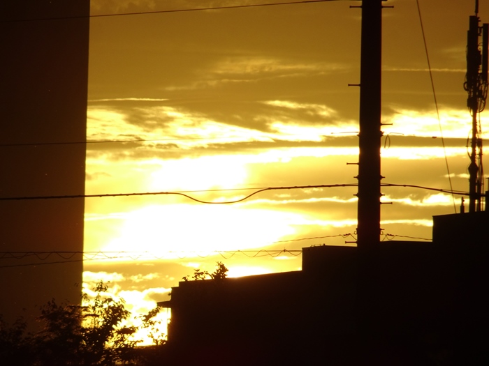 DSC00489.JPG