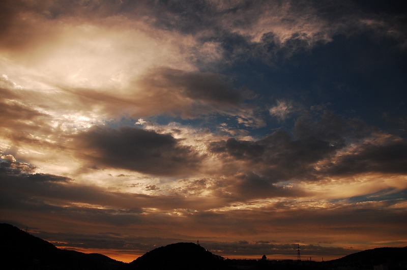 DSC_0019.jpg