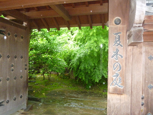 P1100897(1).JPG