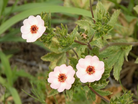 DSCN4324.JPG