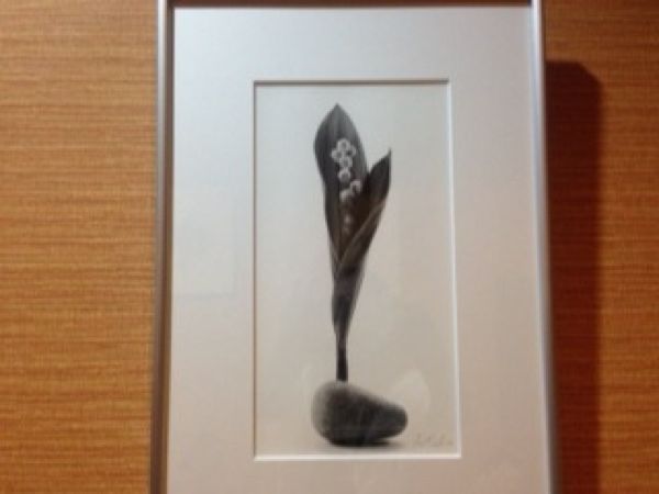 rblog-20140731212820-01.jpg