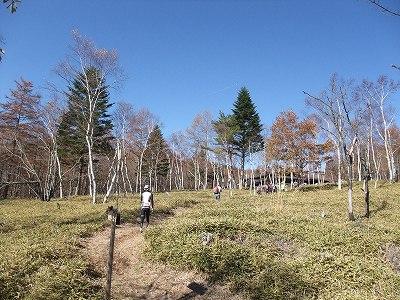 20121104ロッジまで