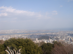 resize2337.jpg