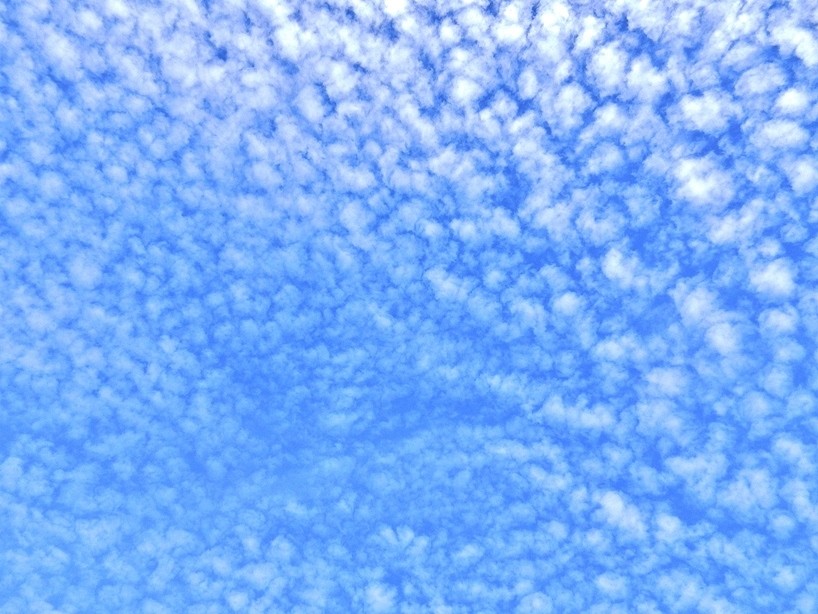 空 4.JPG