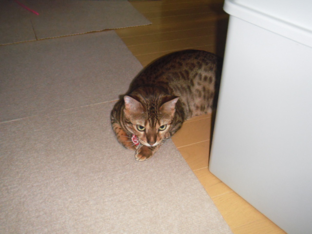 2016_03020030.JPG