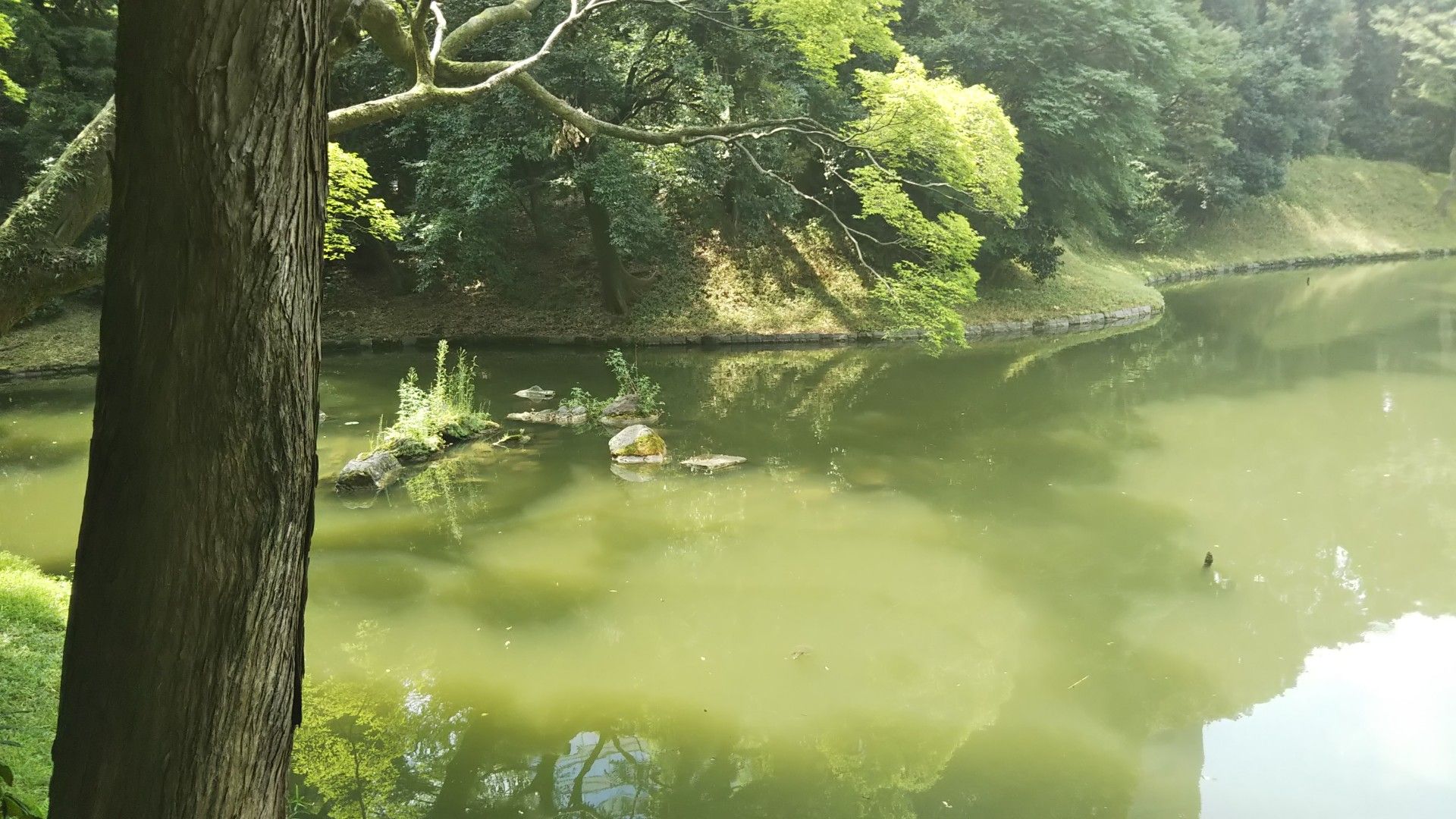 小石川後楽園  ゆかの独り言♪ - 楽天ブログ