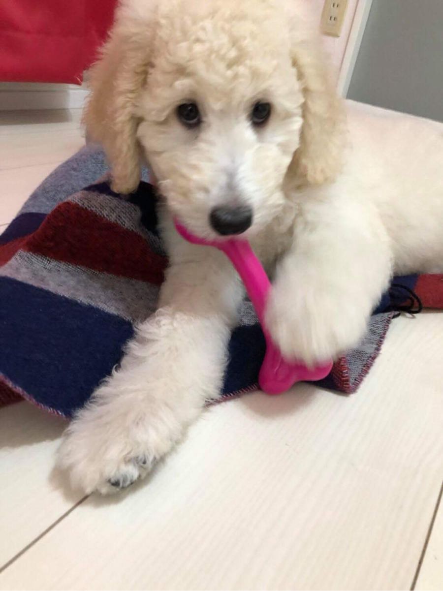 rblog-20181008080459-01.jpg