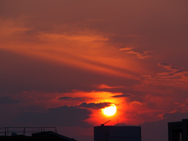 P6210517.jpg