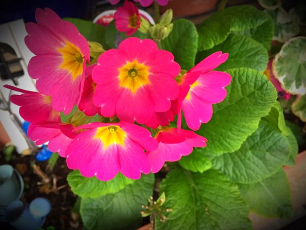 rblog-20160330190811-04.jpg
