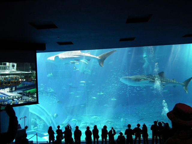 DSCF9214.JPG