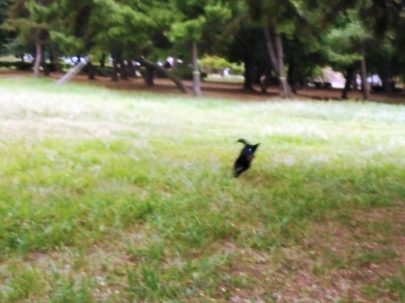 DSC03075.JPG