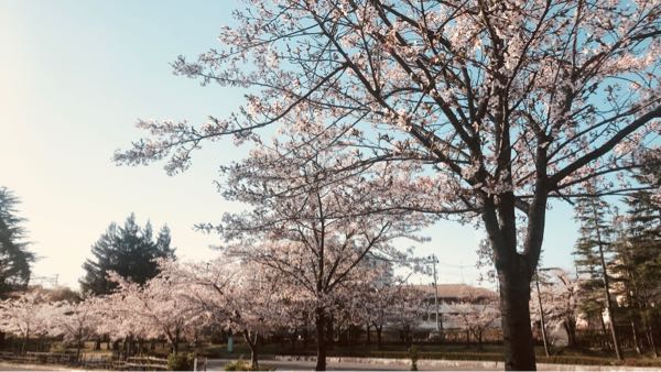 rblog-20180410072906-02.jpg
